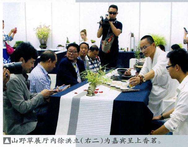 2016年上海第三届微型小品盆景展