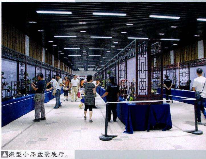 2016年上海第三届微型小品盆景展