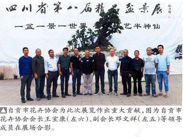 四川自贡第八届精品盆景展