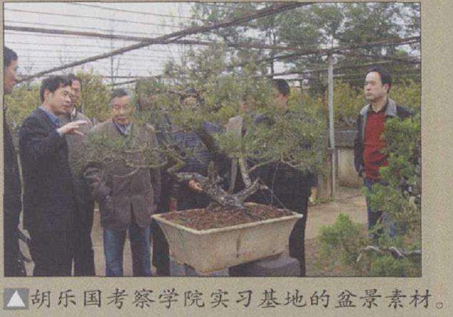 江西农业大学第二届盆景学术研讨会