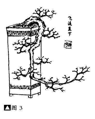 怎么制作挂壁式盆景的4个方法 图片