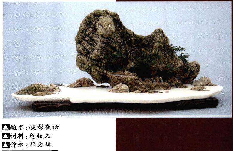 四川盆景的现状及发展展望