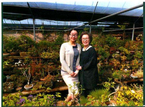 2015年上海植物园举办山野草盆景展