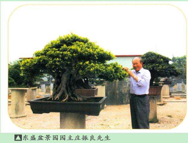 福建漳州东盛盆景园 1998年投资