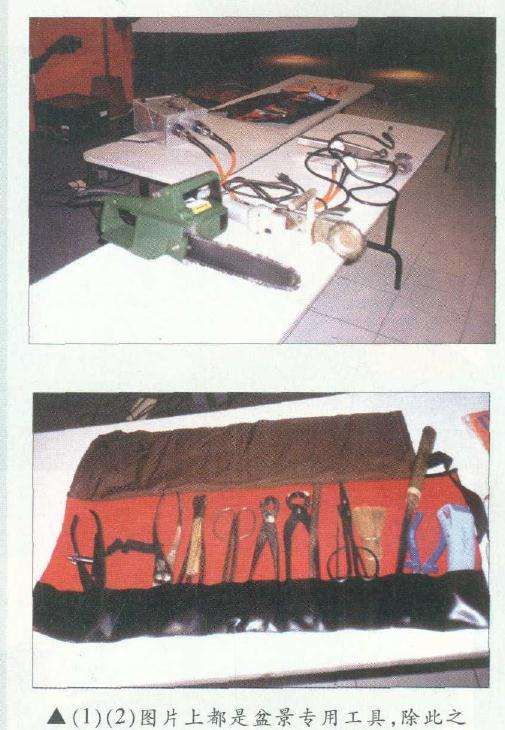 图解 木村正彦在菲律宾盆展上表演