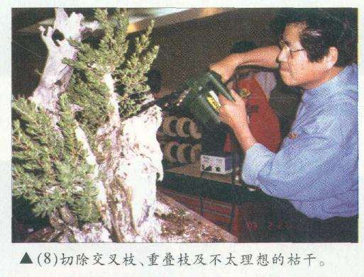 图解 木村正彦在菲律宾盆展上表演