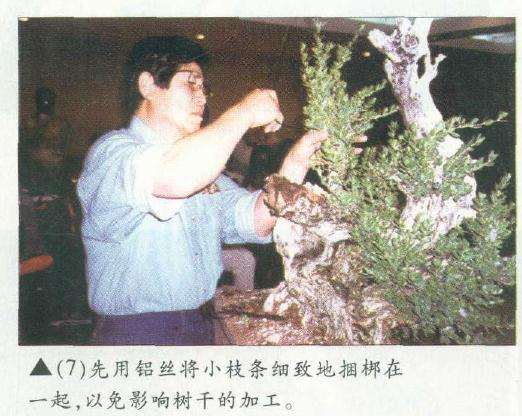 图解 木村正彦在菲律宾盆展上表演