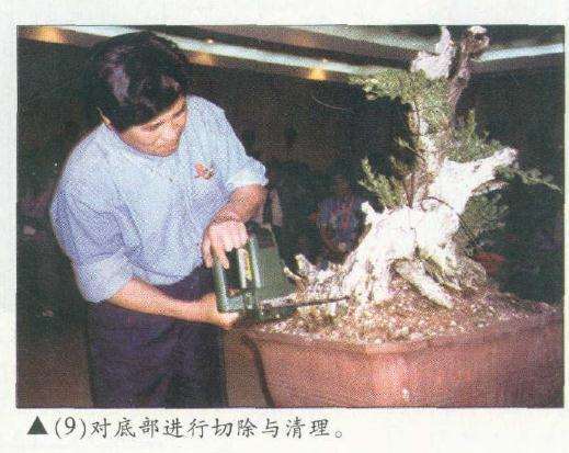 图解 木村正彦在菲律宾盆展上表演