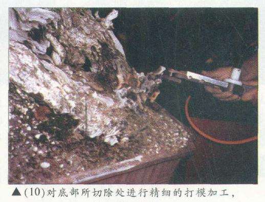 图解 木村正彦在菲律宾盆展上表演