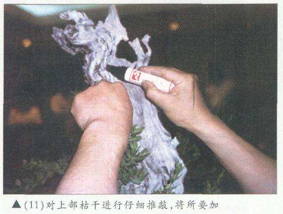 图解 木村正彦在菲律宾盆展上表演