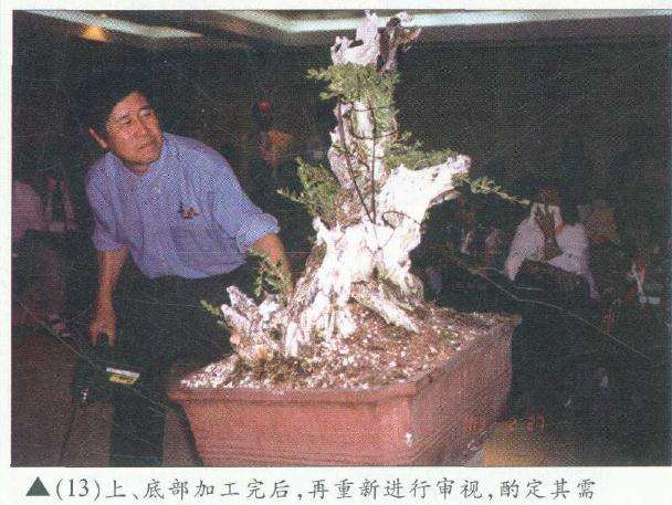 图解 木村正彦在菲律宾盆展上表演