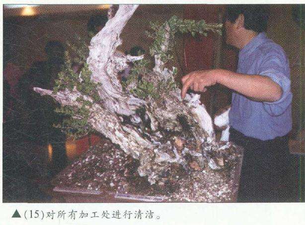 图解 木村正彦在菲律宾盆展上表演