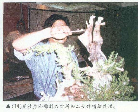 图解 木村正彦在菲律宾盆展上表演