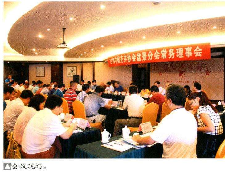 开封召开2016年常务理事会 图片