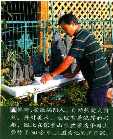 怎么创作自然式山水盆景的方法