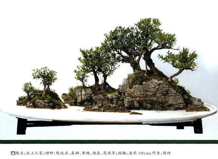 怎么创作自然式山水盆景的方法