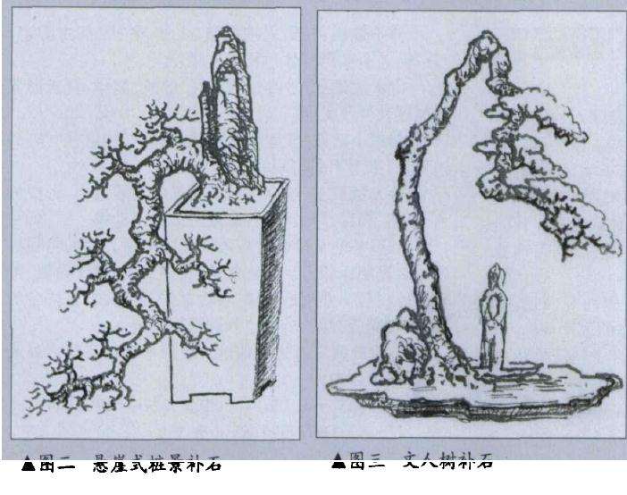 图解 树桩盆景怎么布石的方法