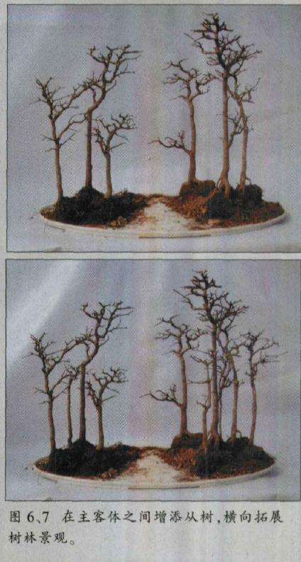图解 水旱盆景怎么制作的8个过程