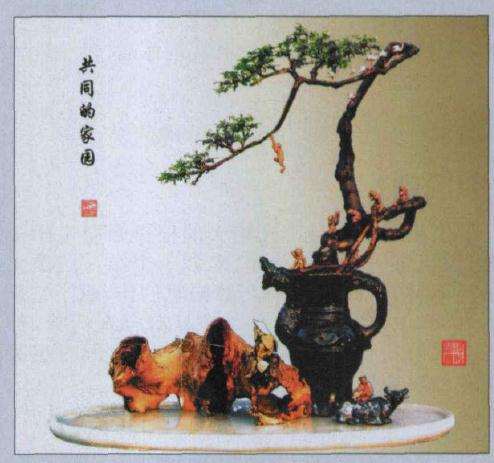 林瑞温怎么制作酒瓶盆景的方法