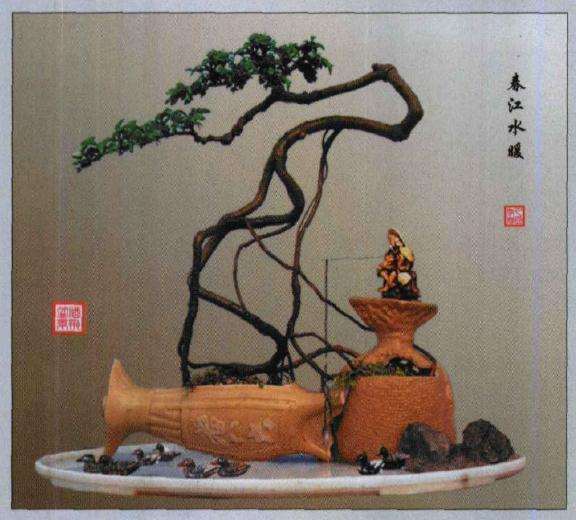 林瑞温怎么制作酒瓶盆景的方法