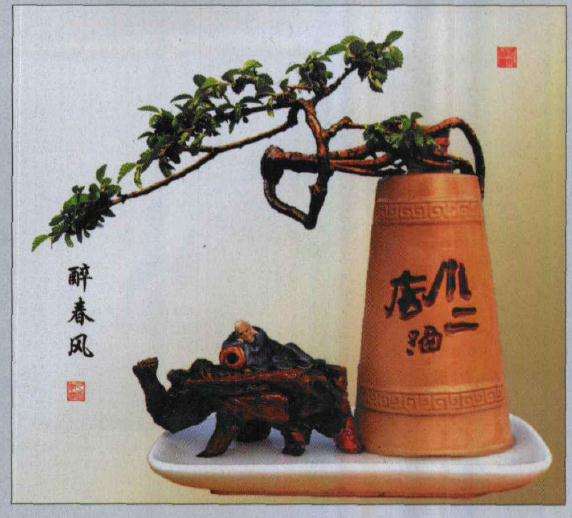 林瑞温怎么制作酒瓶盆景的方法