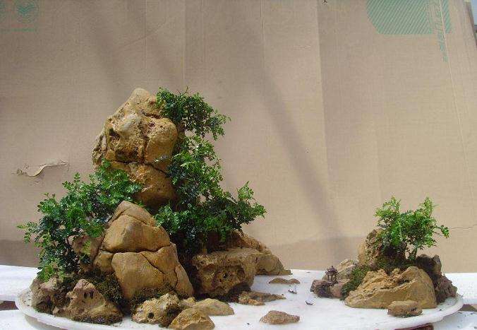 树石盆景石料怎么粘接的4个方法