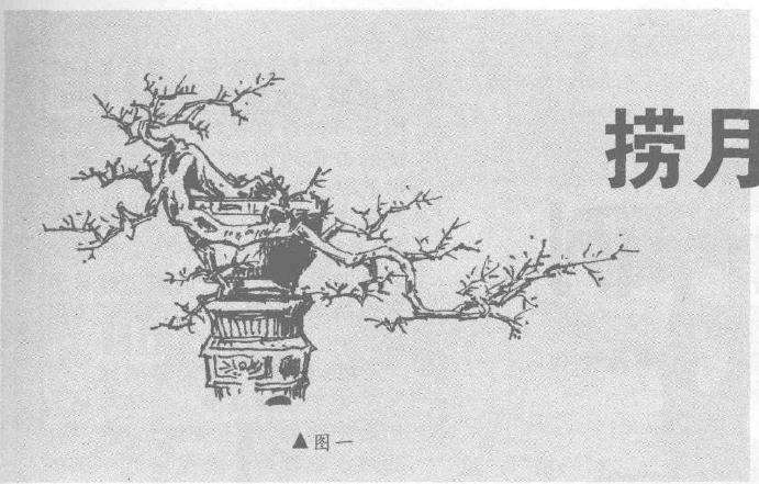 图解 捞月型悬崖桩怎么造型设计的方法