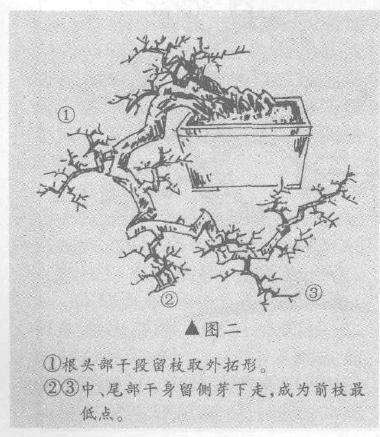 图解 捞月型悬崖桩怎么造型设计的方法