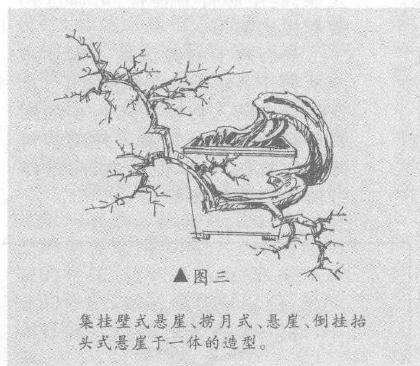 图解 捞月型悬崖桩怎么造型设计的方法