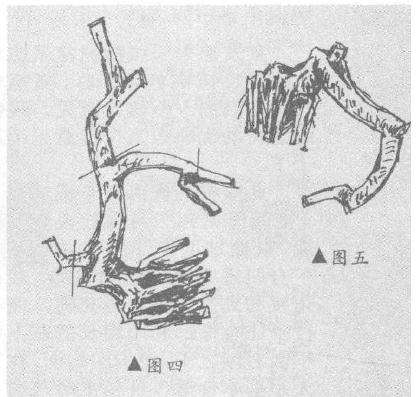 图解 捞月型悬崖桩怎么造型设计的方法