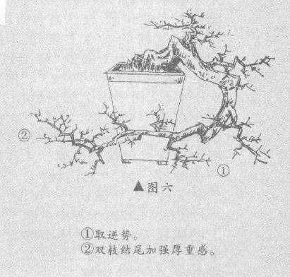 图解 捞月型悬崖桩怎么造型设计的方法