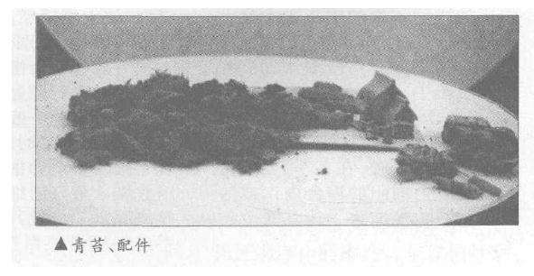 图解 三角枫盆景《春望》怎么制作设计