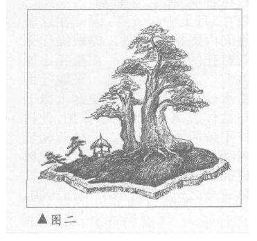 图解 三角枫盆景《春望》怎么制作设计