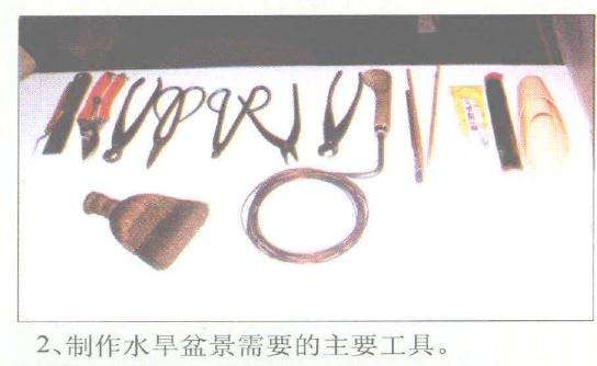 赵庆泉怎么制作水旱盆景的过程