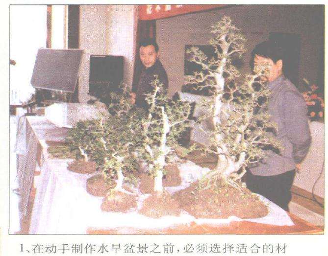 赵庆泉怎么制作水旱盆景的过程