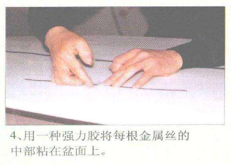 赵庆泉怎么制作水旱盆景的过程