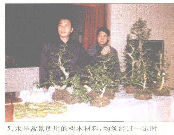 赵庆泉怎么制作水旱盆景的过程