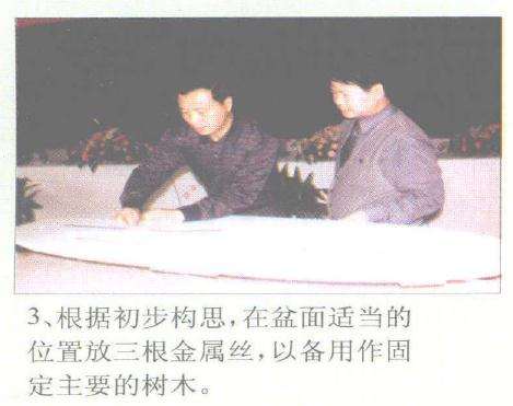 赵庆泉怎么制作水旱盆景的过程