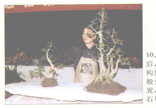 赵庆泉怎么制作水旱盆景的过程