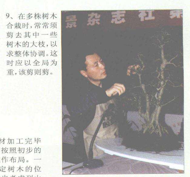 赵庆泉怎么制作水旱盆景的过程