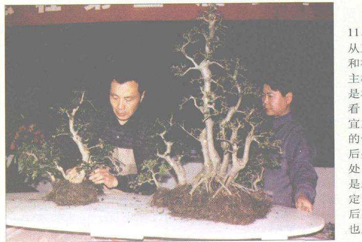 赵庆泉怎么制作水旱盆景的过程