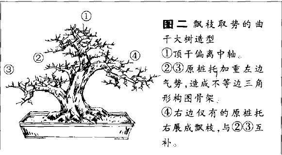 单干大树形盆景怎么造型的方法