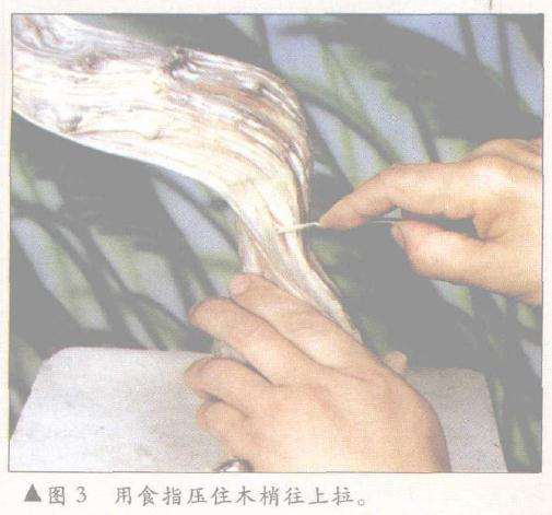 用食指压住术梢往上拉