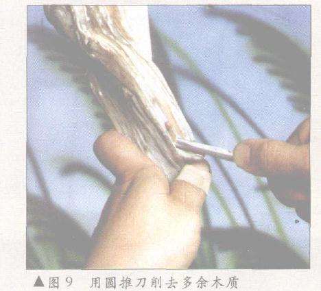 用圆推刀削去多余木质