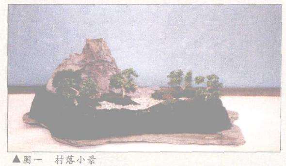 金门盆景俱乐部