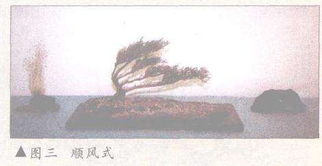 图解 美国盆景怎么设计制作的方案