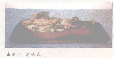 随文刊出六帧盆景彩照