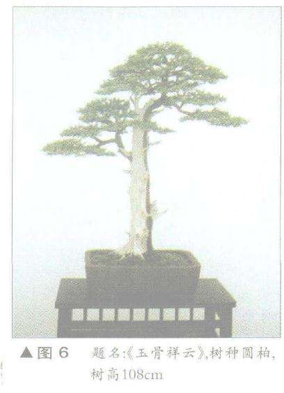 图解 舍利干盆景神枝怎么制作的方法