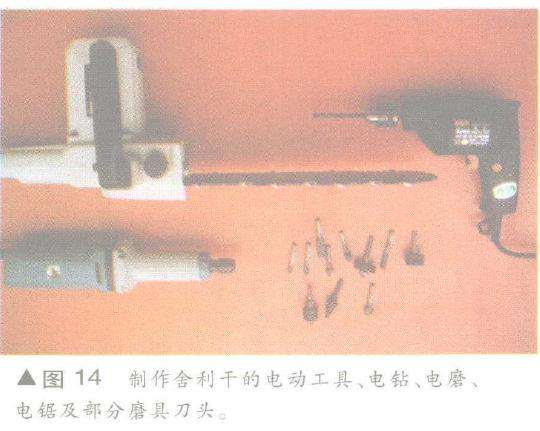 图解 舍利干盆景神枝怎么制作的方法