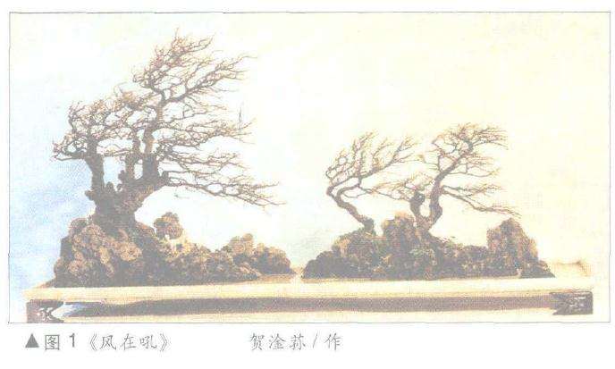 盆景先石后土法